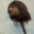 Ned Stark's Severed Head