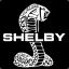 SHELBY™