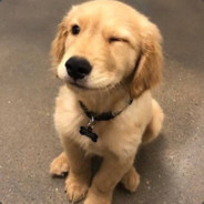 SUN sponsored by Mathieu