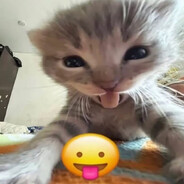 kitekat Steam avatar