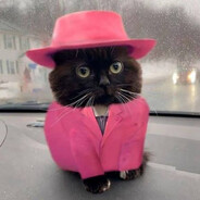 𝕩𝕊ℚ𝕌𝔼𝔼𝕫𝕪