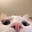 Mister Cat