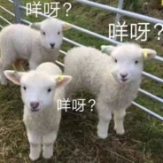 酱板鸭i