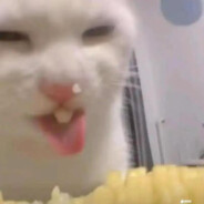 还不曾去过倒悬山