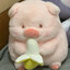 Boyat.PIGgy