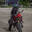 Lobo