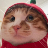 纯爱战神程咬金