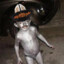 CallMeChico