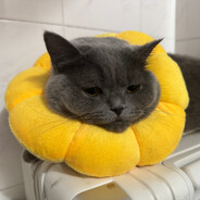 住在山里真不错