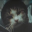 ChillGuy