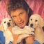 Don&#039;t hassle the Hoff