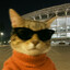 CoolPurrson [BWK]
