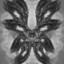 Baron Mephedrone