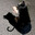 󠀡󠀡cat