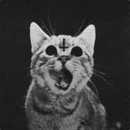 (kawaii_beast)ஜSorkotஜ