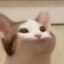 PopCat