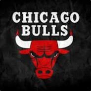 CHICAGO BULLS - steam id 76561198410534141