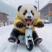 糖葫芦蘸酱豆腐