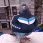 DirePigeon