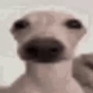 dogus Steam avatar