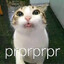 prprprpr