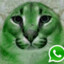 Glist_Solo52