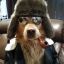 king_james0324