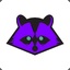 Raccoon