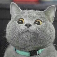 生野区头号动物爱好者