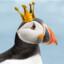 Laconic Puffin