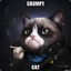 grumpy cat