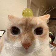 茗神