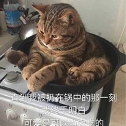 就特么你叫霞洛啊