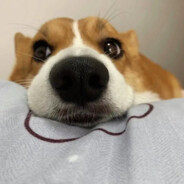 兜里丶有杜蕾斯