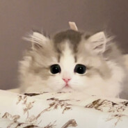 别吃我还没洗呢