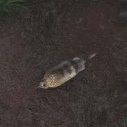 puttanesco