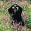 Kendall's avatar