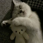 a - steam id 76561198273316563