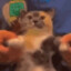 Meow