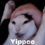 &gt;w&lt;