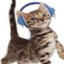 164.4's avatar