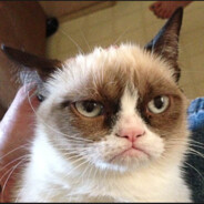 mode: sad - steam id 76561198081623687