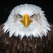 DADDY - steam id 76561199442506466