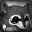 Absol