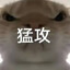 玩舟只玩ew 玩apex只玩艾许