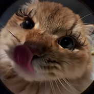 Закатай губу