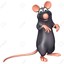 Funy Rat