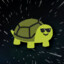 Im a turtle
