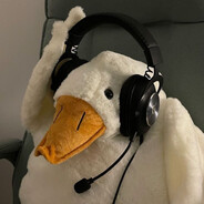 Friendly Duck - steam id 76561199037767144