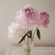 hy18918868804@163.com